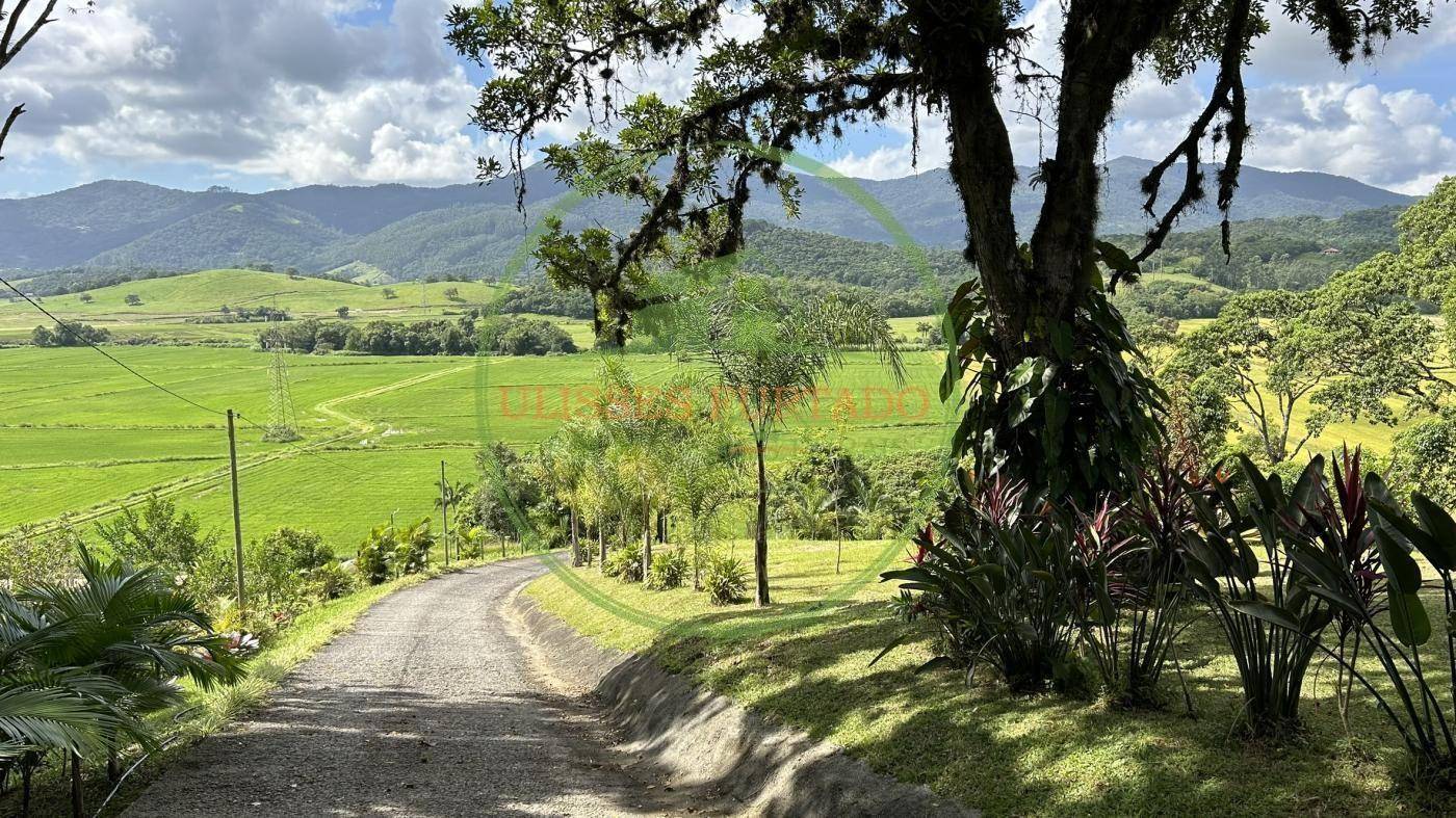 Sítio, 6 hectares - Foto 2