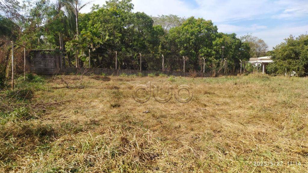 Chácara à venda com 1 quarto, 80m² - Foto 15