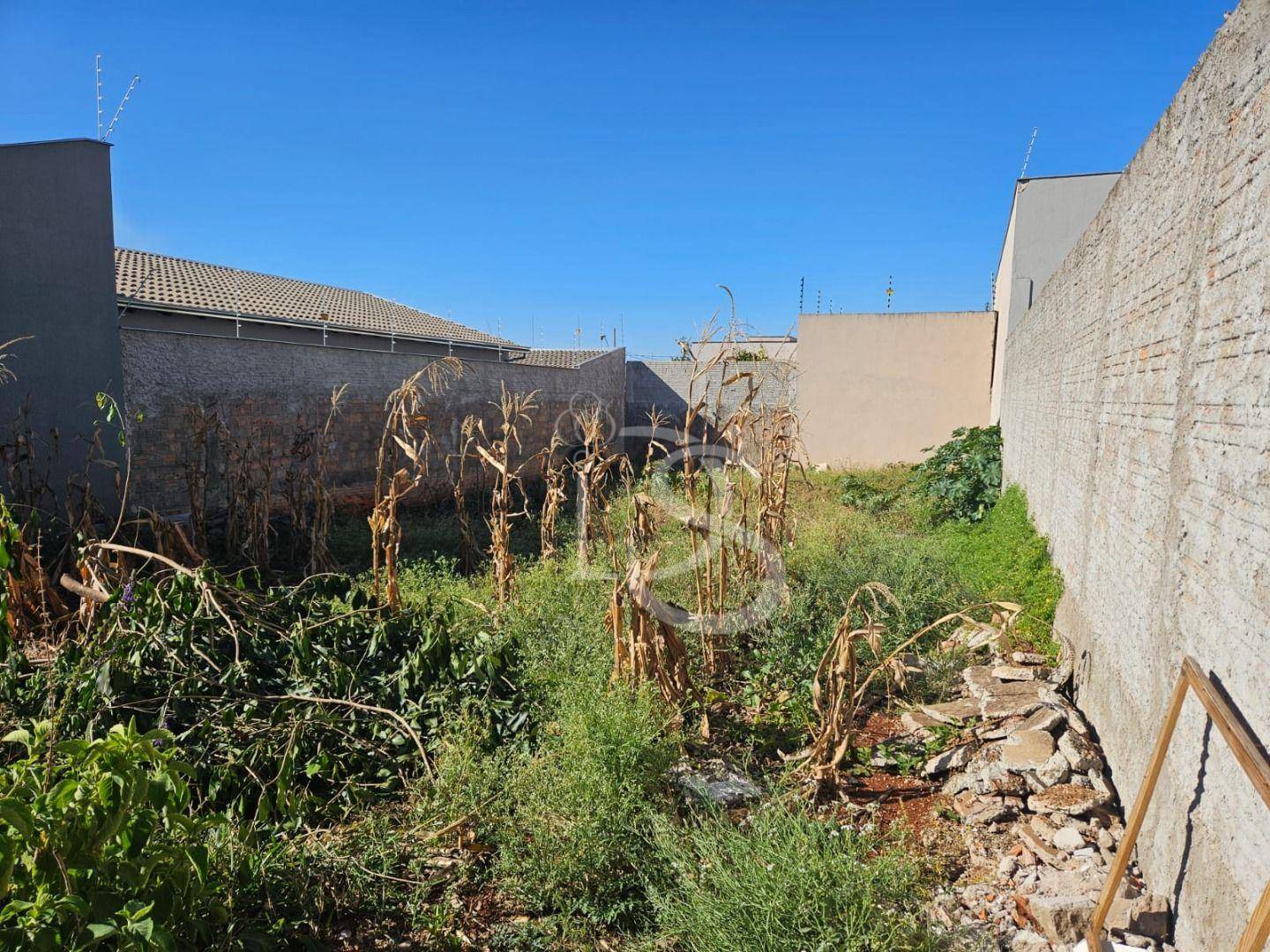 Terreno, 250 m² - Foto 16