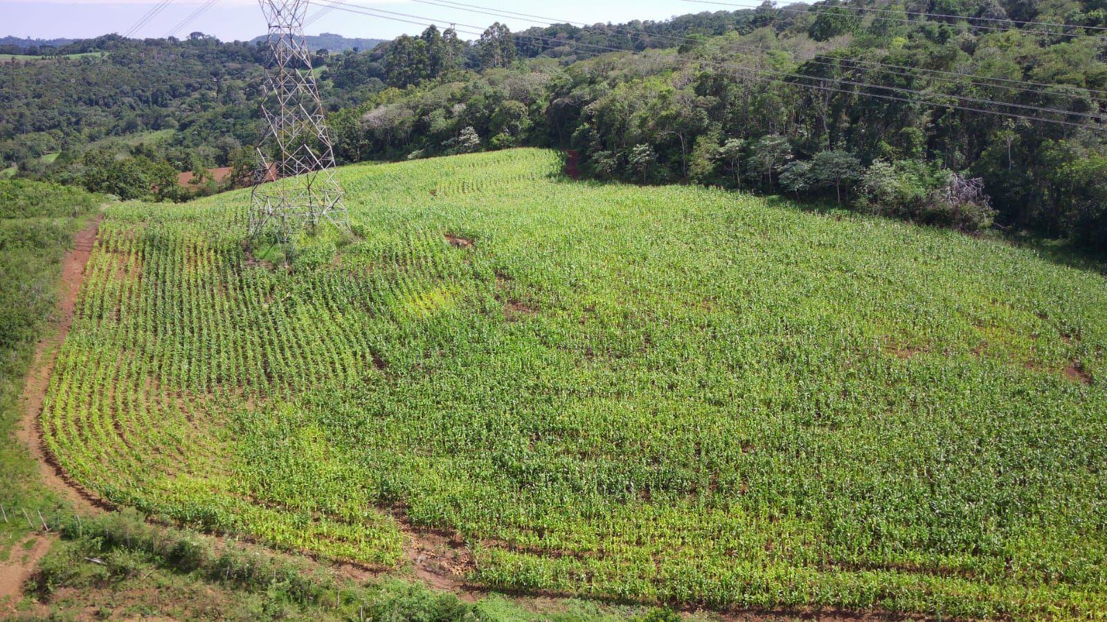 Loteamento e Condomínio à venda, 120000m² - Foto 1