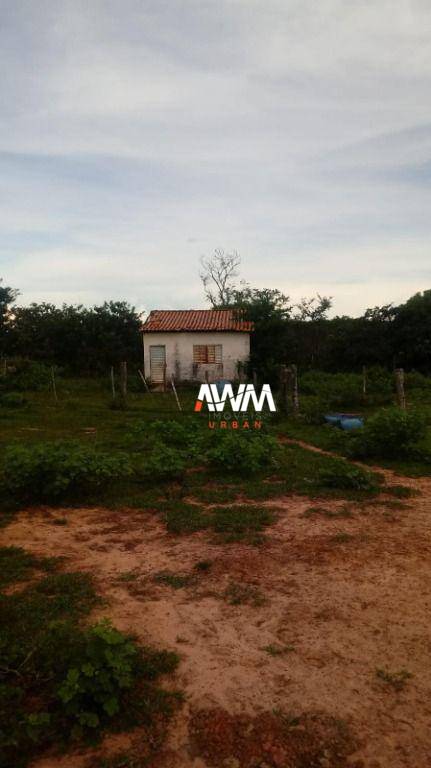 Fazenda, 600 hectares - Foto 11