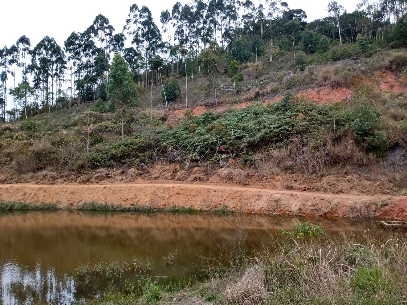 Fazenda à venda, 3000m² - Foto 3