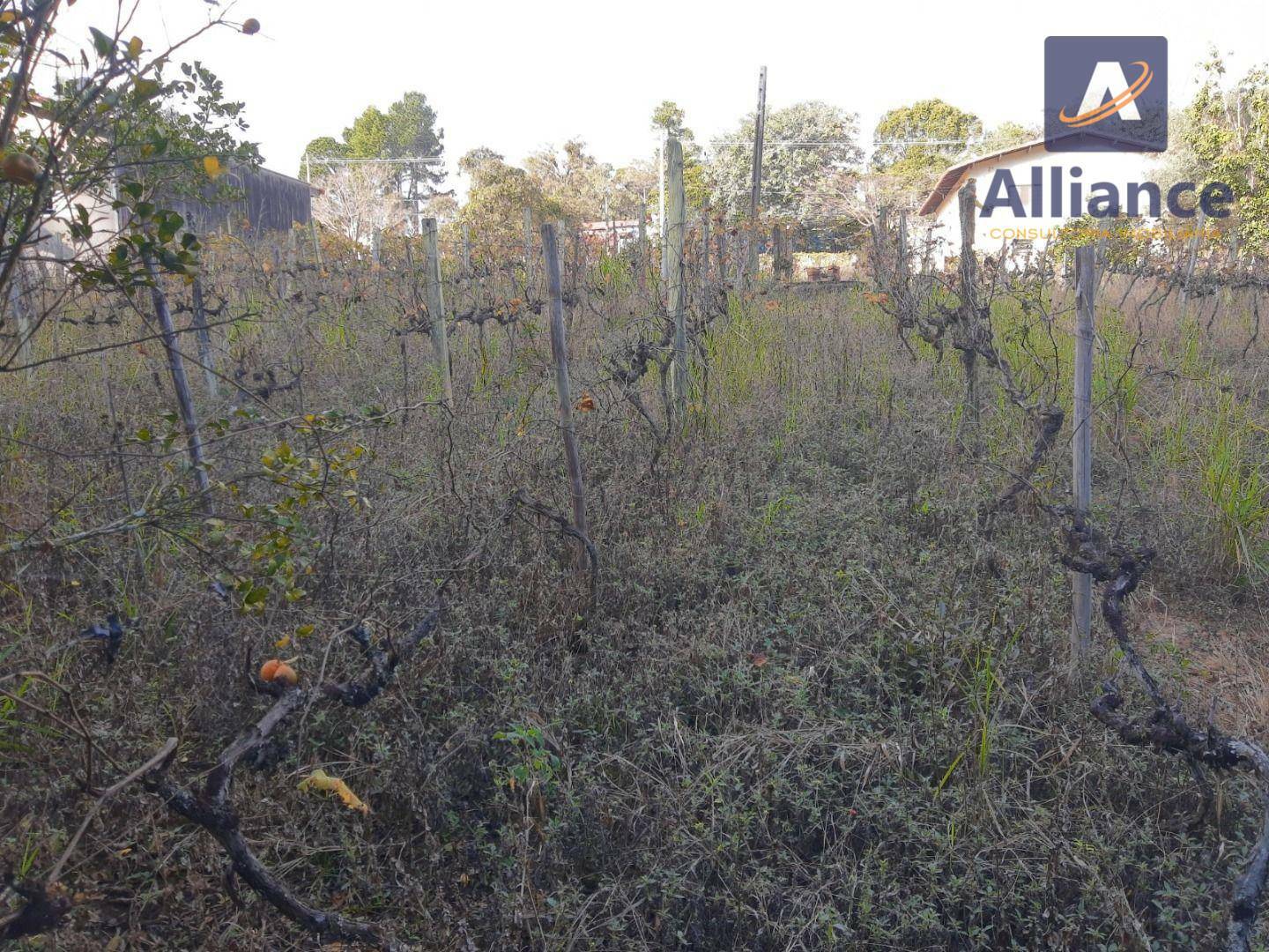 Terreno à venda, 1632M2 - Foto 22