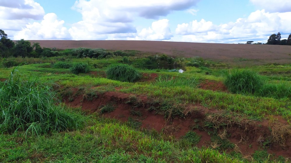 Fazenda à venda com 1 quarto, 2m² - Foto 16