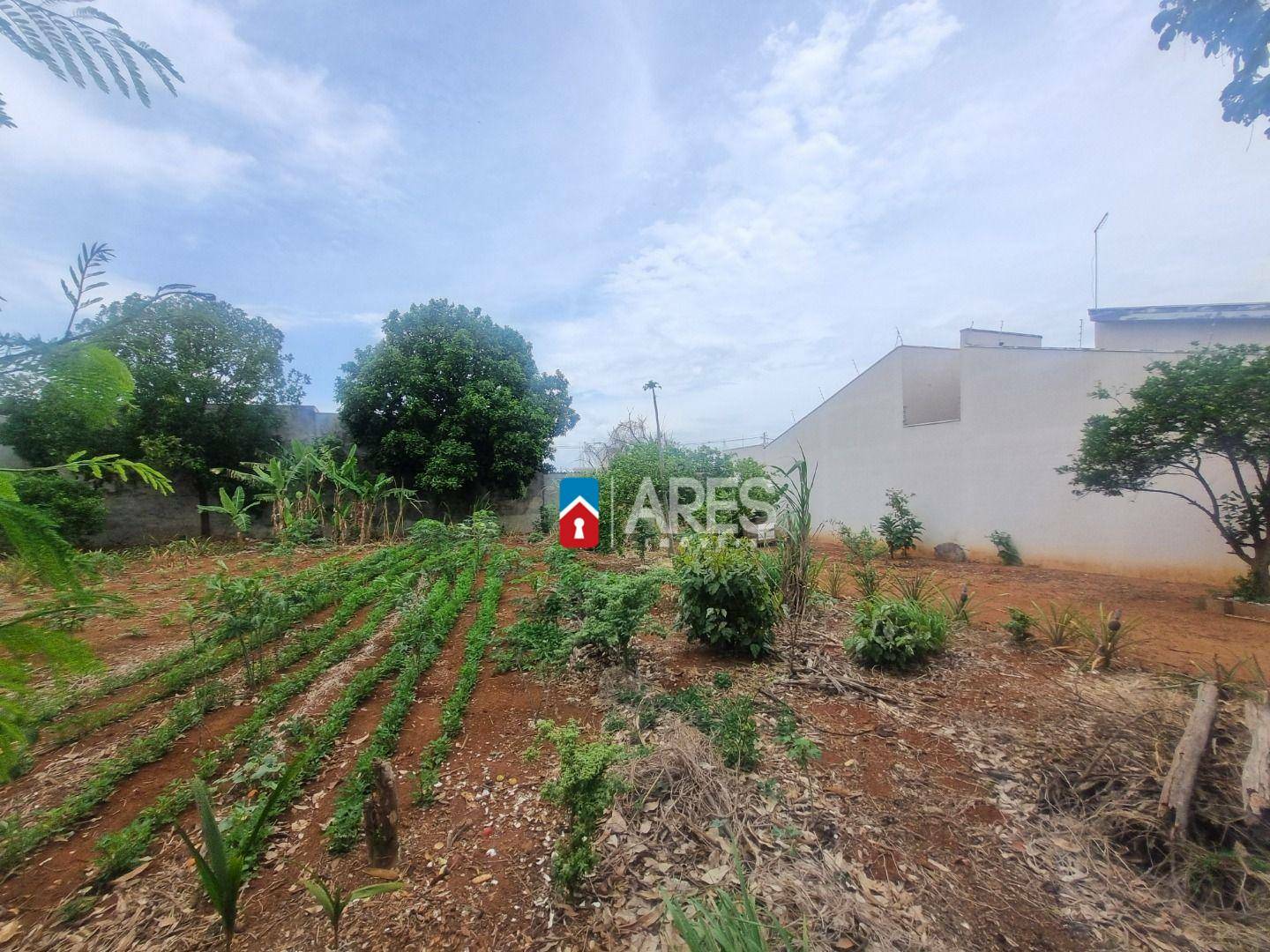 Terreno, 250 m² - Foto 5