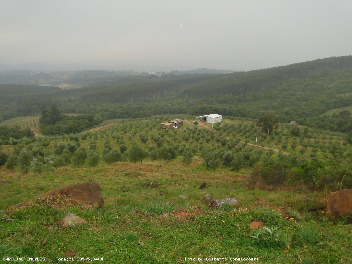 Fazenda à venda com 6 quartos, 493400m² - Foto 21