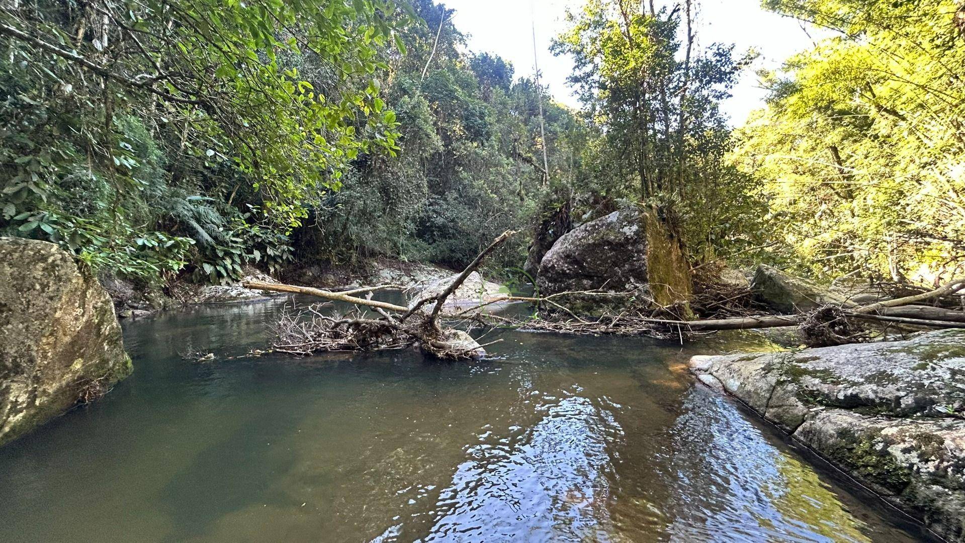 Sítio, 19 hectares - Foto 51