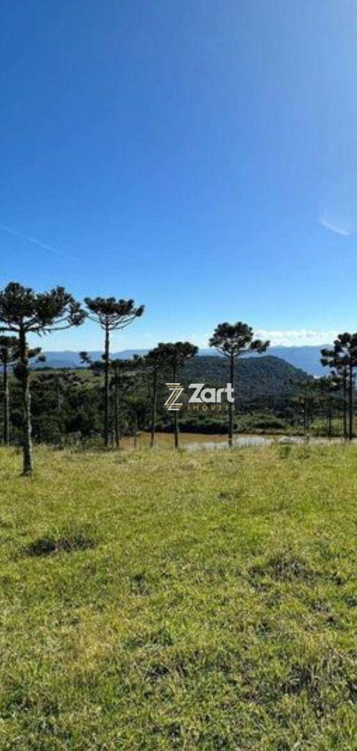 Terreno, 2 hectares - Foto 5