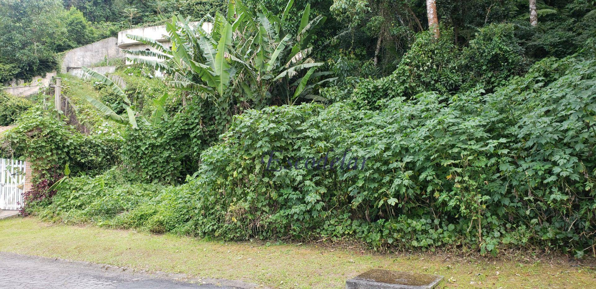 Loteamento e Condomínio à venda, 1270M2 - Foto 7