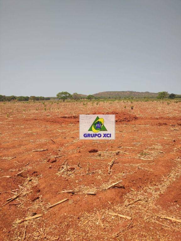 Fazenda à venda, 135000000M2 - Foto 33