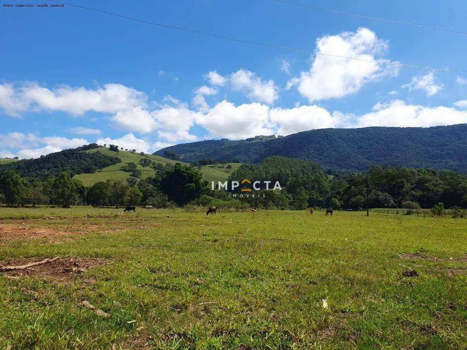 Chácara à venda com 2 quartos, 2000M2 - Foto 12