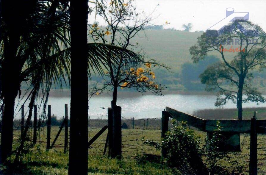 Sítio, 4 hectares - Foto 26