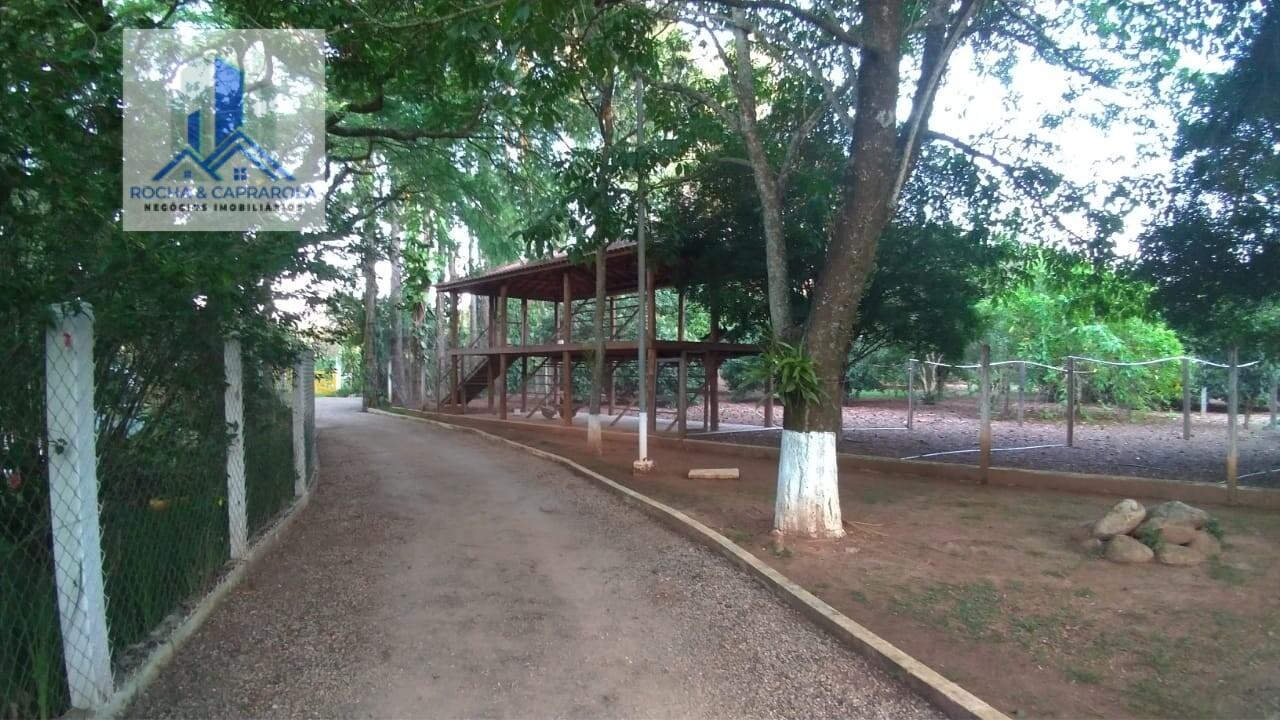 Fazenda à venda com 6 quartos, 145200m² - Foto 19