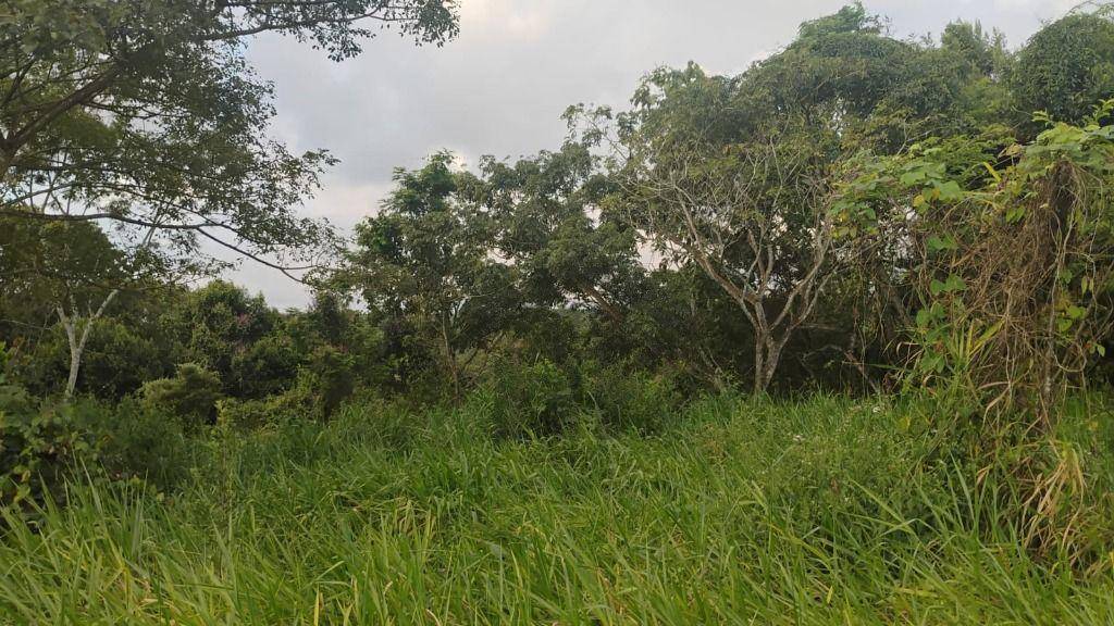 Terreno, 574 m² - Foto 12