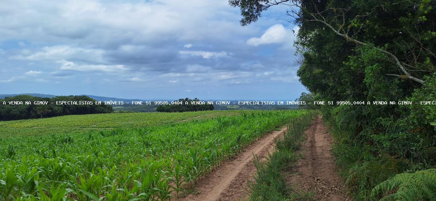 Loteamento e Condomínio à venda, 120000m² - Foto 5