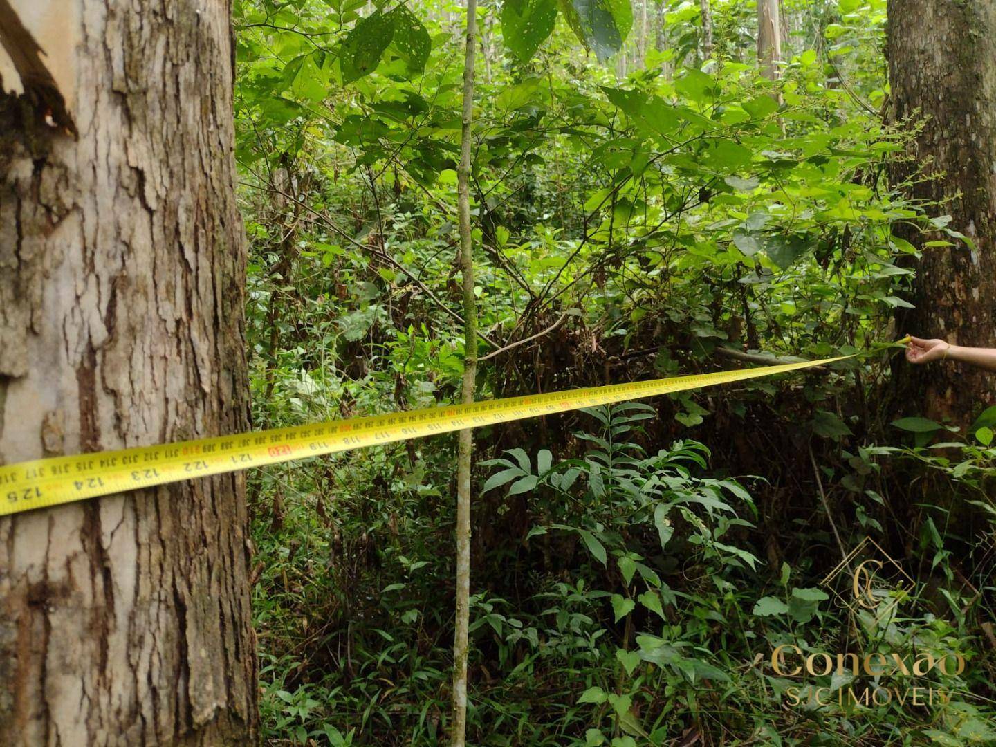 Fazenda-Sítio-Chácara, 240 hectares - Foto 22