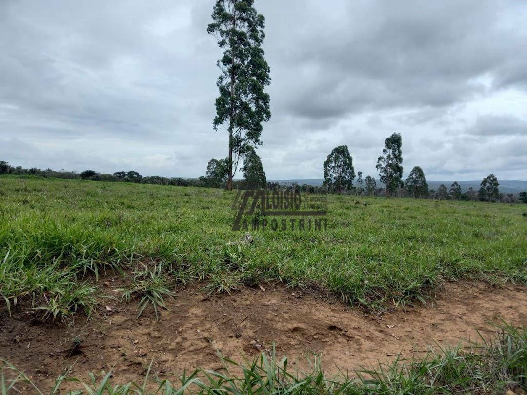 Fazenda à venda, 60984000M2 - Foto 2