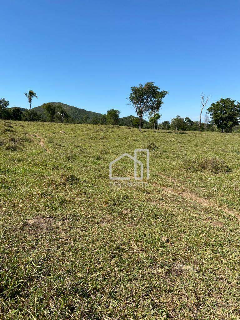 Fazenda à venda com 3 quartos, 21217700000M2 - Foto 5