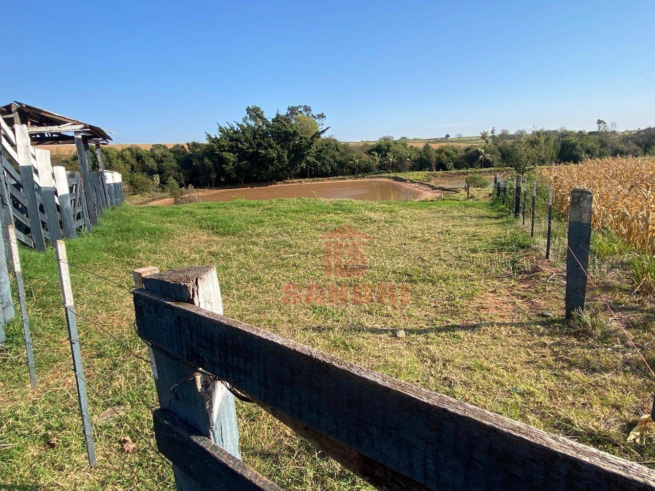 Sítio, 2 hectares - Foto 7