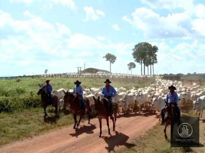 Fazenda à venda, 4270000000M2 - Foto 10