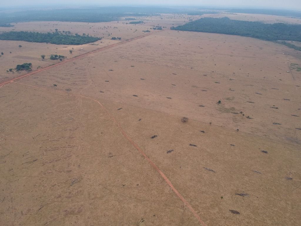 Fazenda à venda, 41140000M2 - Foto 6