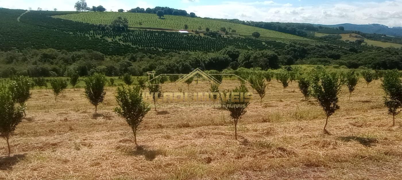 Fazenda à venda, 27m² - Foto 29