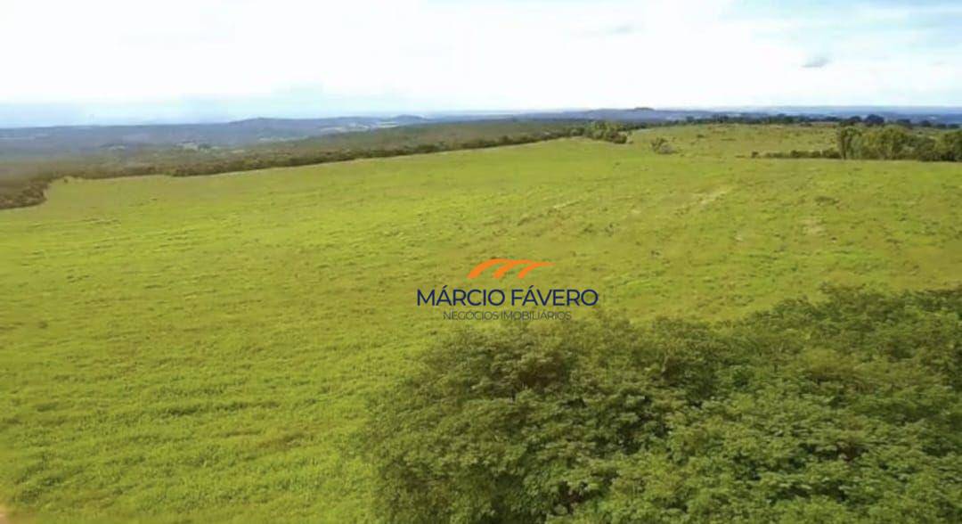 Fazenda-Sítio-Chácara, 980 hectares - Foto 9