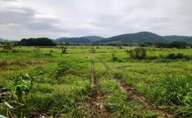 Fazenda à venda com 2 quartos, 200000m² - Foto 15