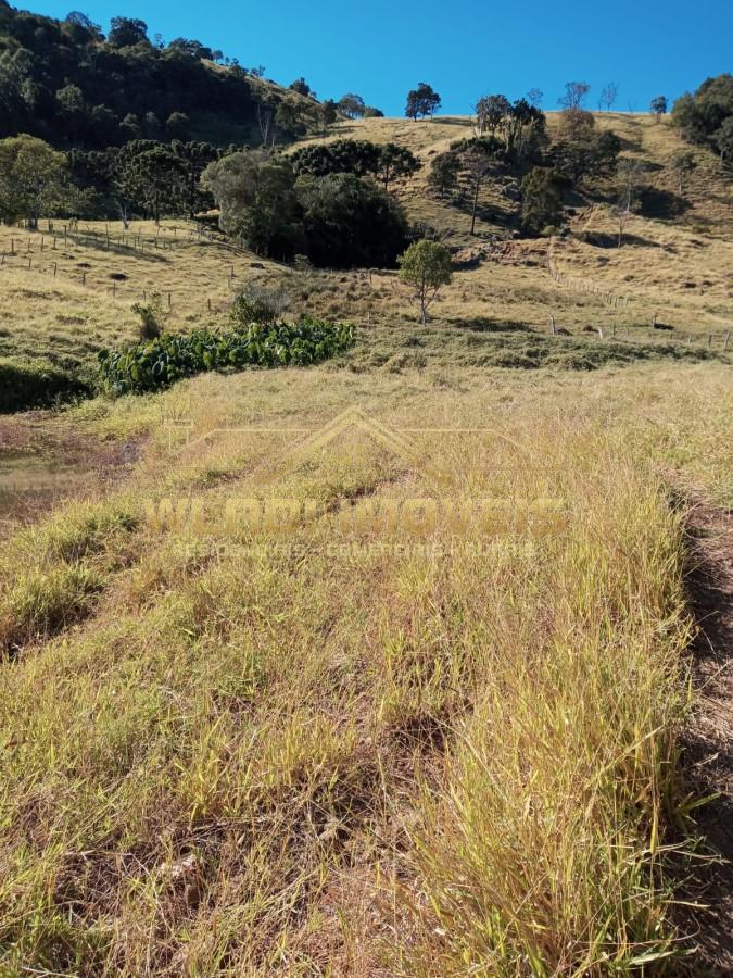 Sítio, 7 m² - Foto 23