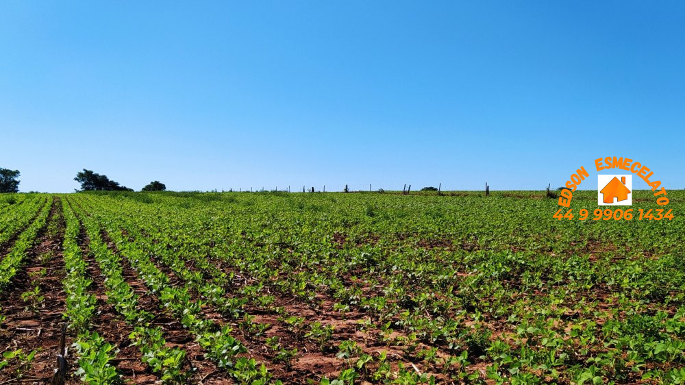 Fazenda-Sítio-Chácara, 2 hectares - Foto 3