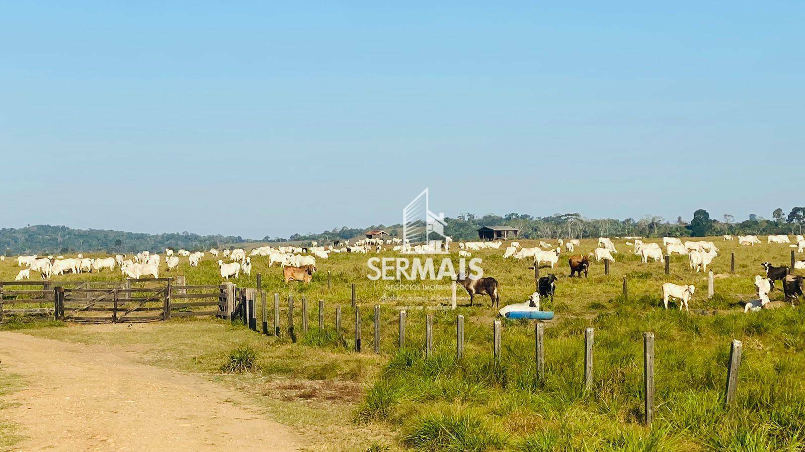 Fazenda à venda, 562M2 - Foto 7