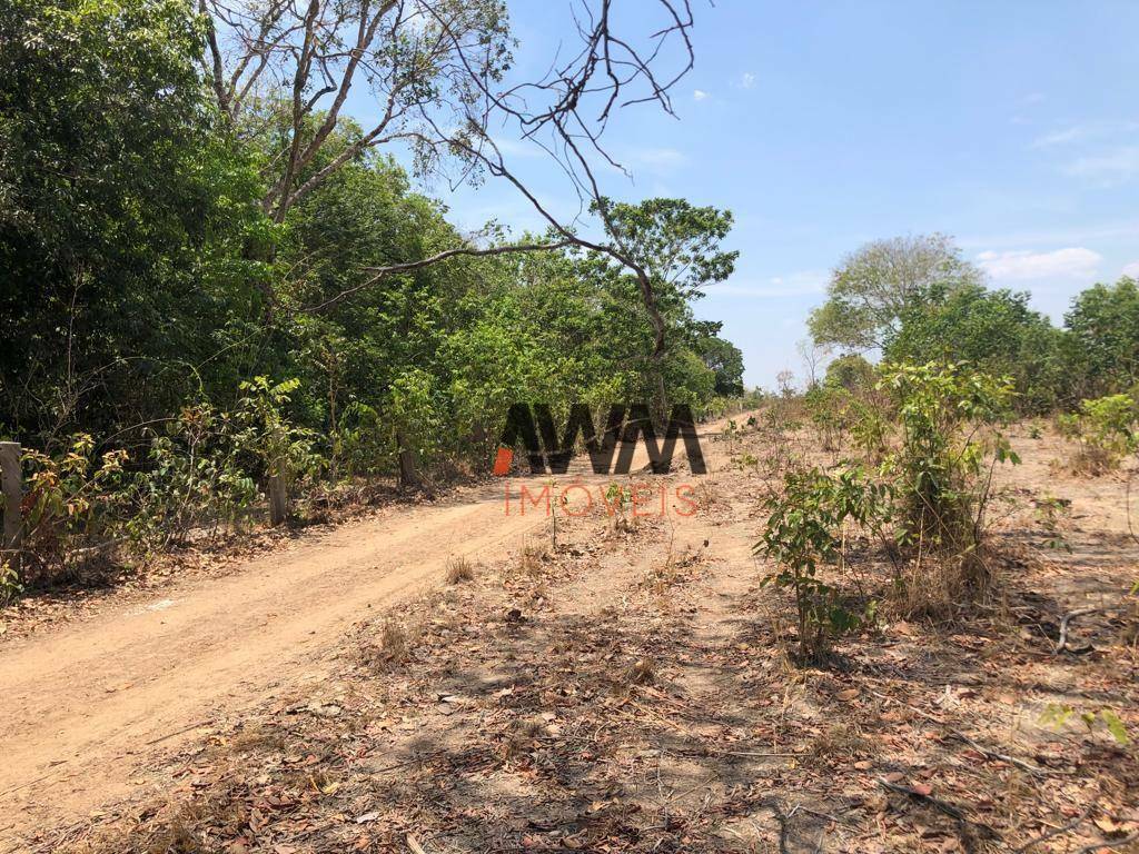 Fazenda-Sítio-Chácara, 1462 hectares - Foto 8