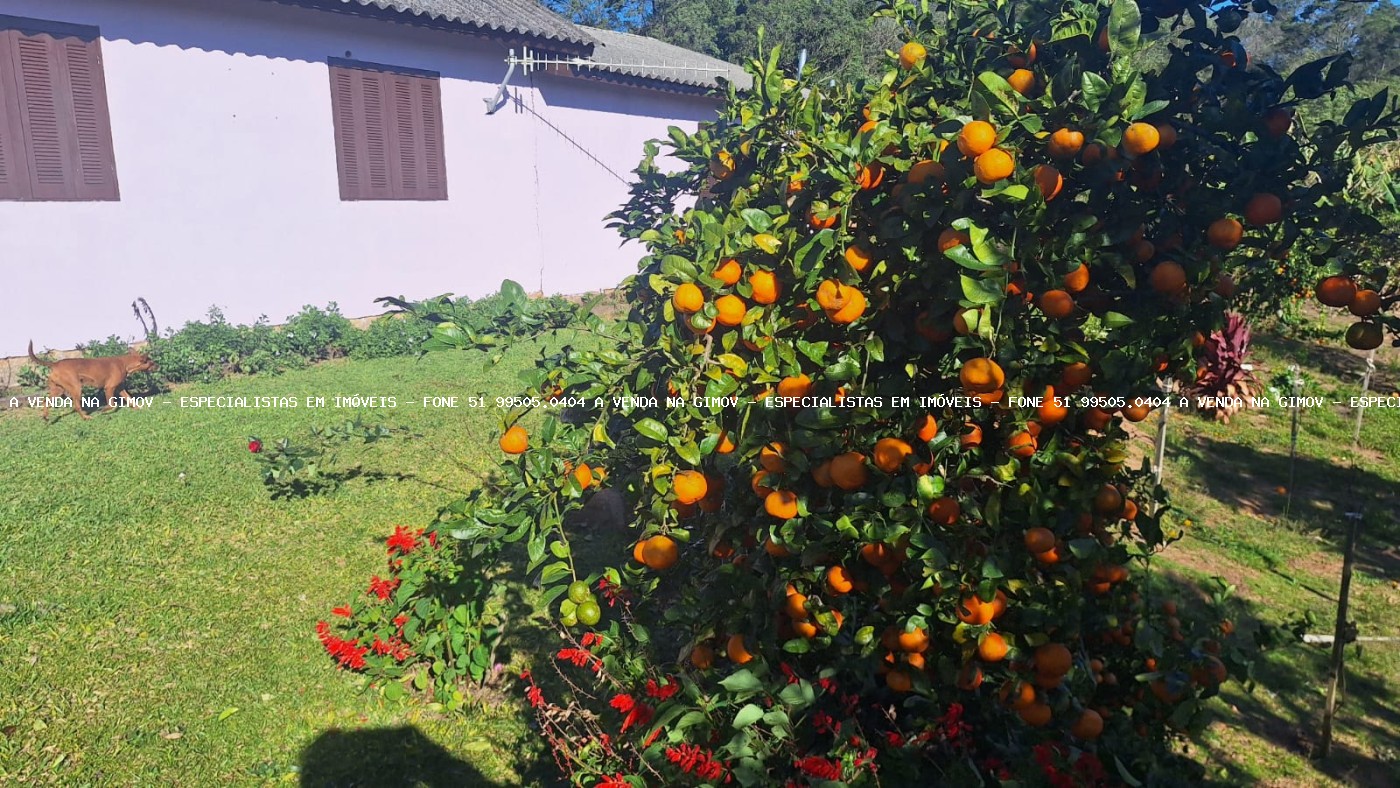 Sítio à venda com 4 quartos, 46500m² - Foto 29