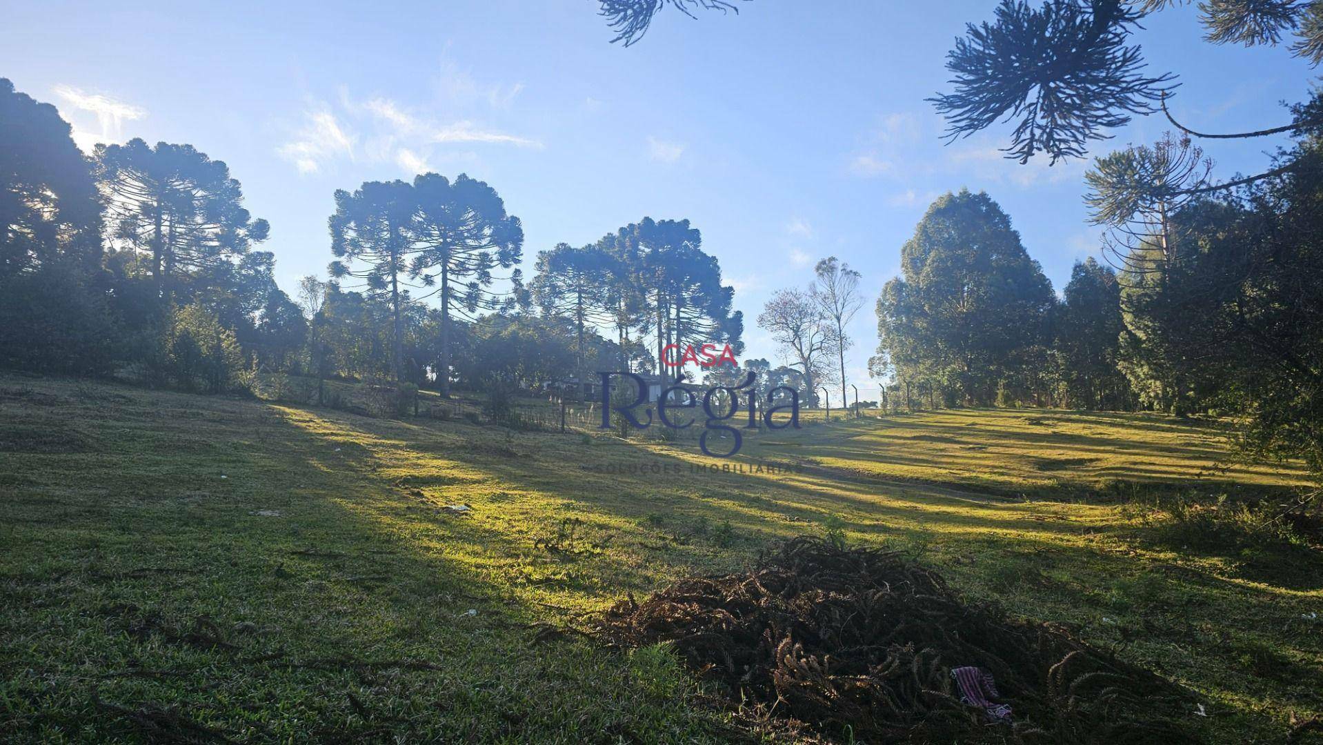 Loteamento e Condomínio à venda, 354M2 - Foto 3