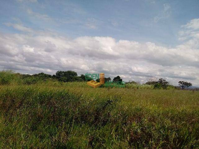 Terreno para alugar, 2000M2 - Foto 5