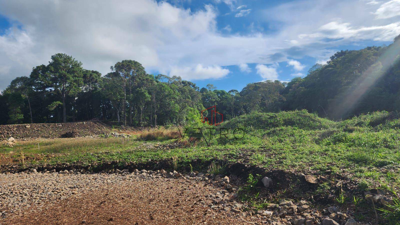 Loteamento e Condomínio à venda, 5193M2 - Foto 4