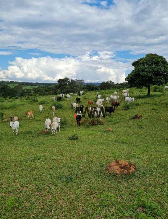 Fazenda à venda, 968000M2 - Foto 1