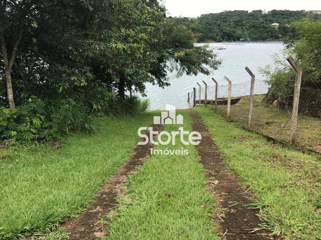 Fazenda à venda com 4 quartos, 2600M2 - Foto 6