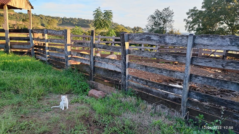 Fazenda à venda, 24m² - Foto 12