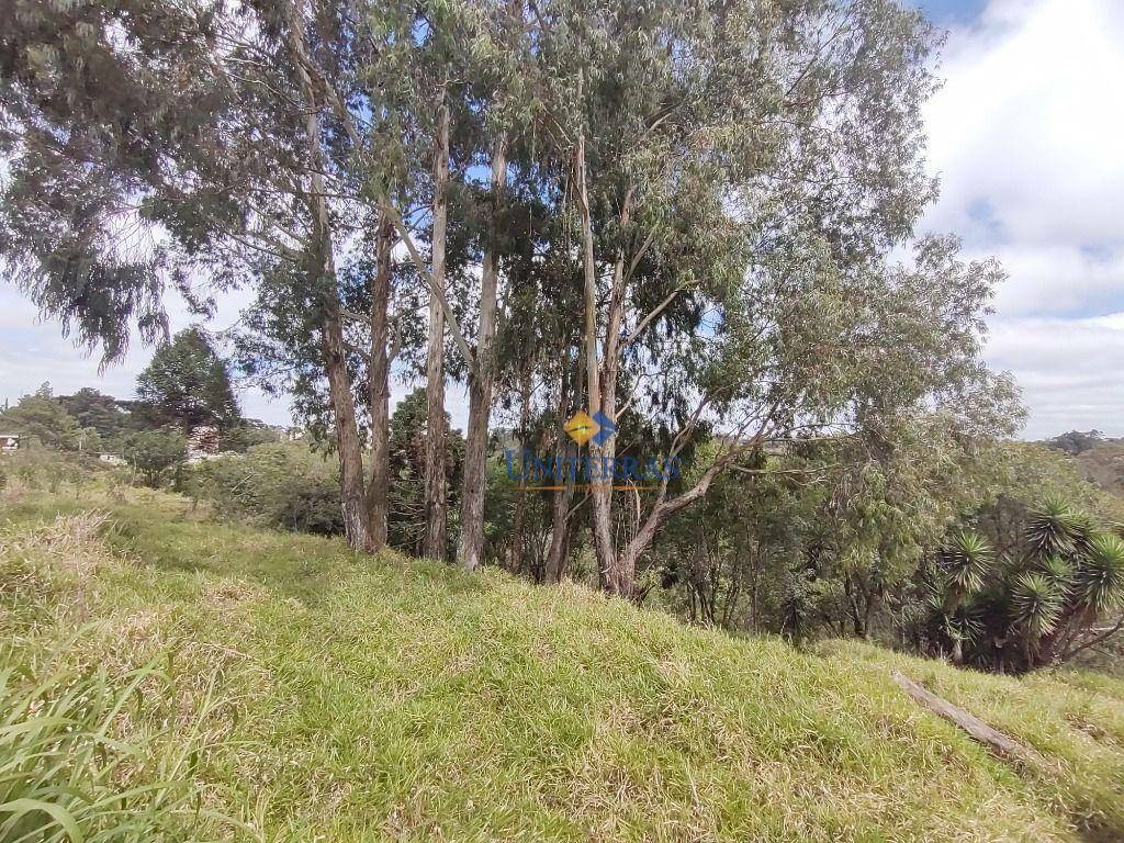 Terreno à venda, 4360M2 - Foto 11