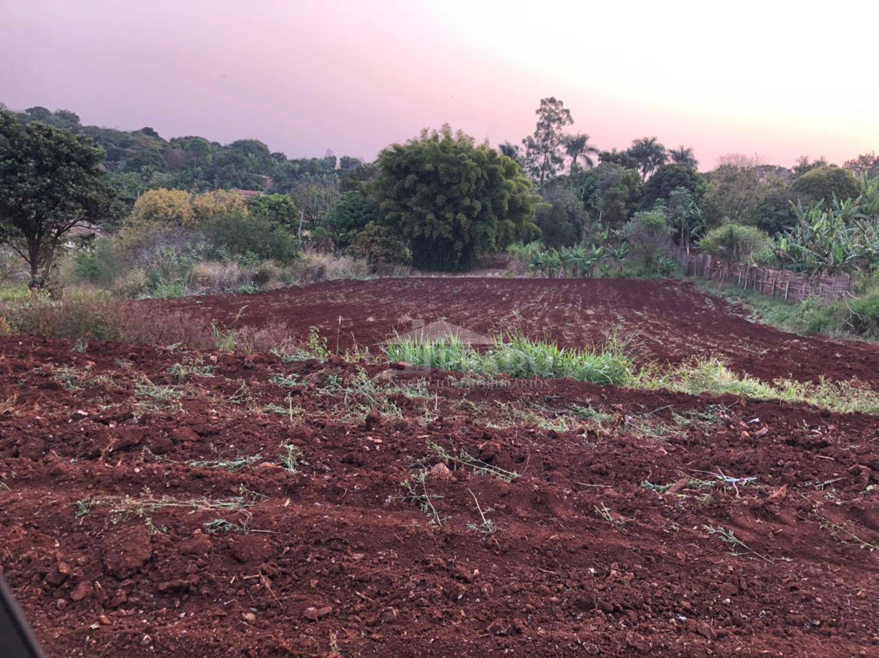 Chácara à venda, 3000M2 - Foto 2