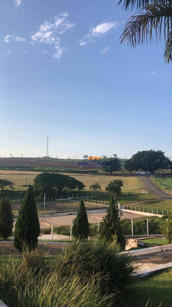 Fazenda, 315 hectares - Foto 4