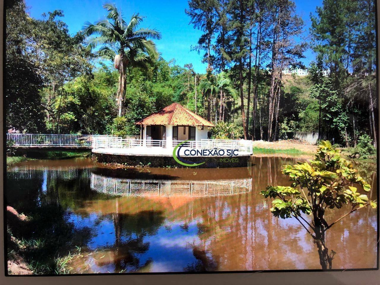 Chácara à venda com 4 quartos, 10000M2 - Foto 12