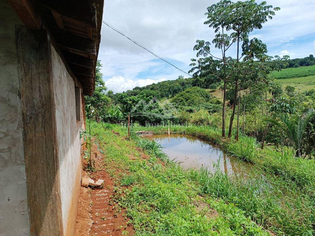 Fazenda à venda com 2 quartos, 3700m² - Foto 6