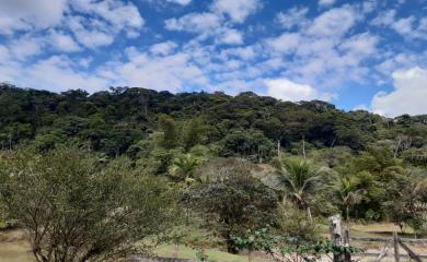 Fazenda à venda com 5 quartos, 150000m² - Foto 15