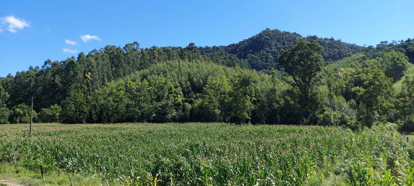 Fazenda à venda, 100000m² - Foto 7