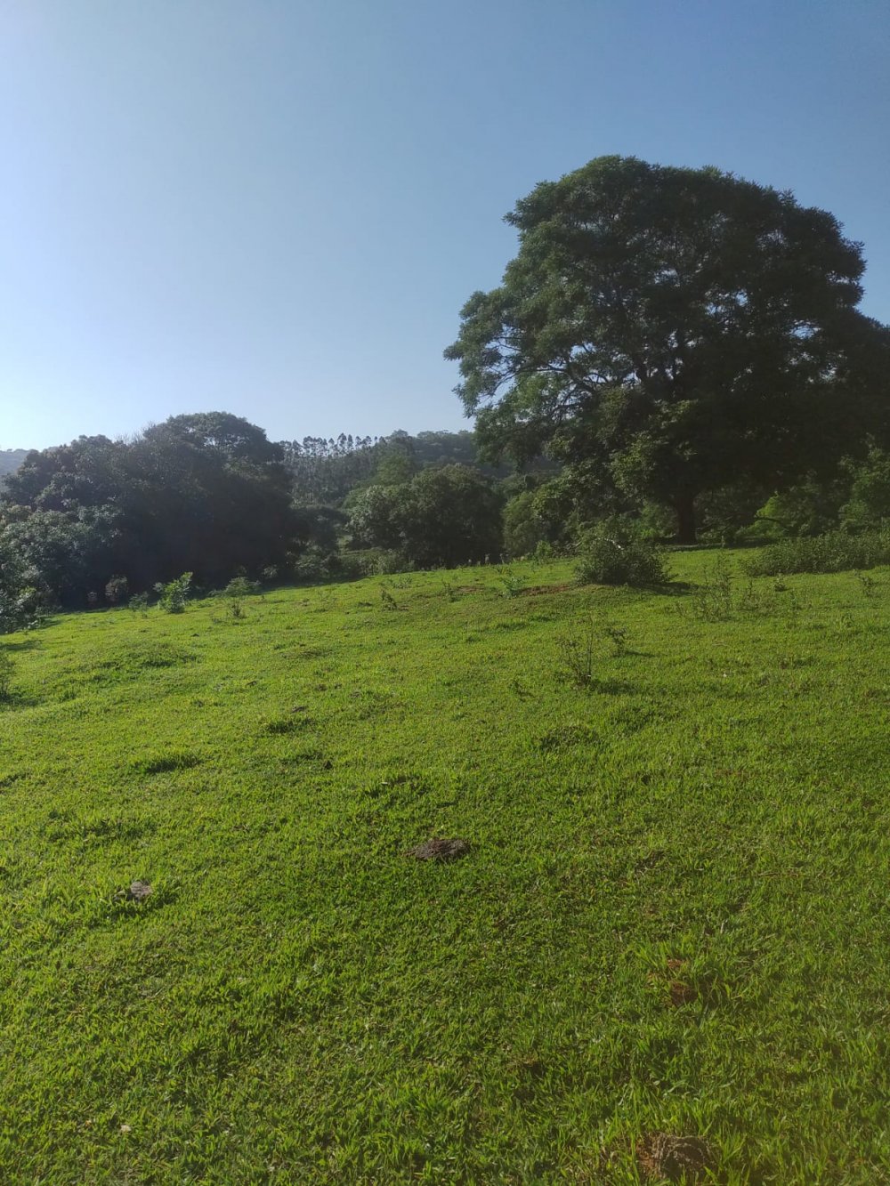 Sítio, 308 m² - Foto 5