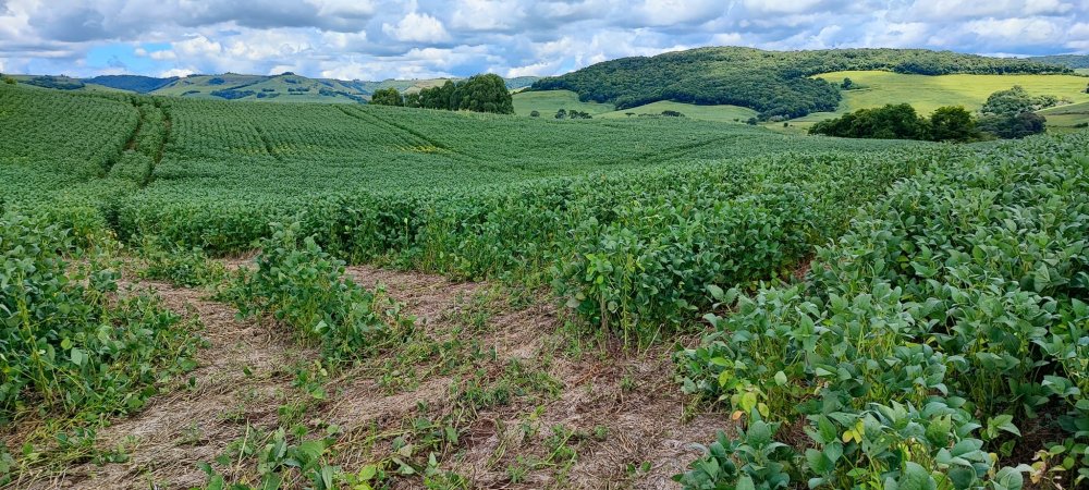 Fazenda à venda, 52m² - Foto 5