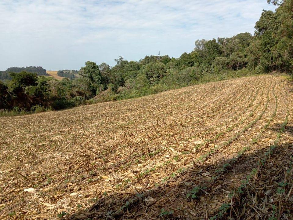 Fazenda à venda com 3 quartos, 130000m² - Foto 22