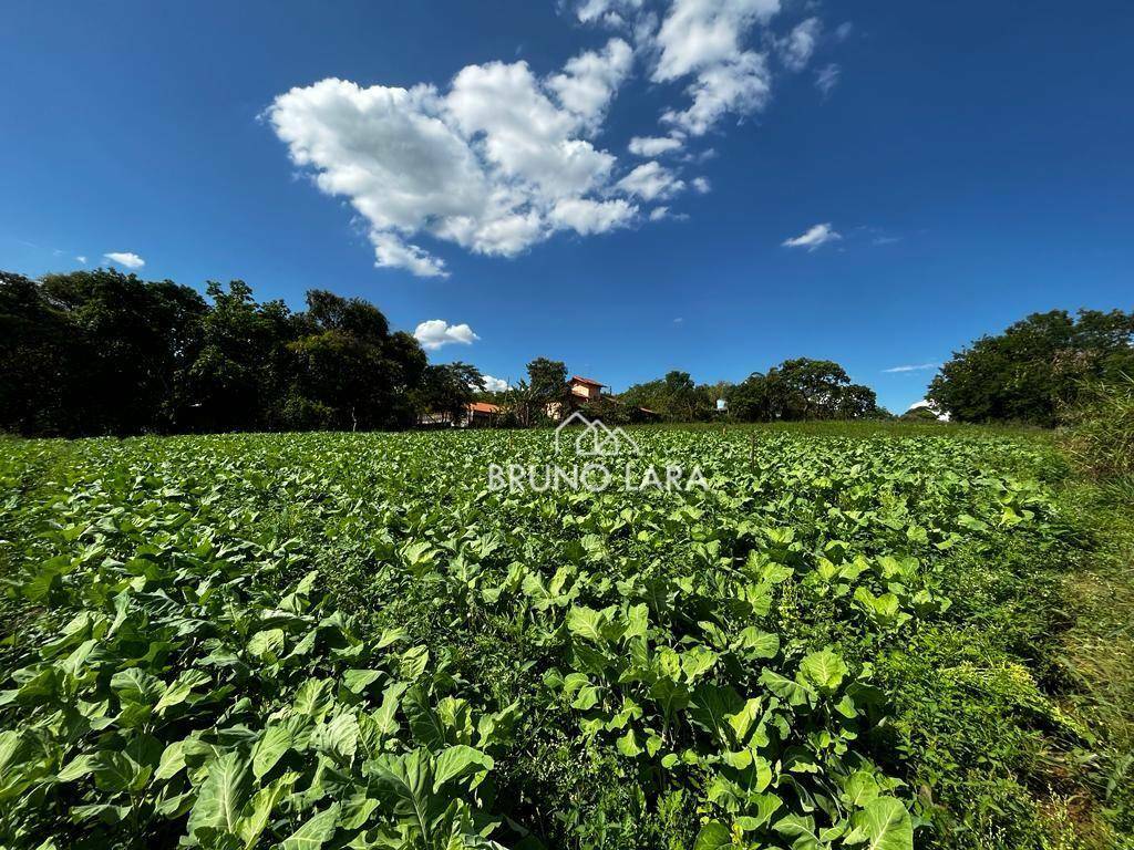 Terreno à venda, 40000M2 - Foto 14